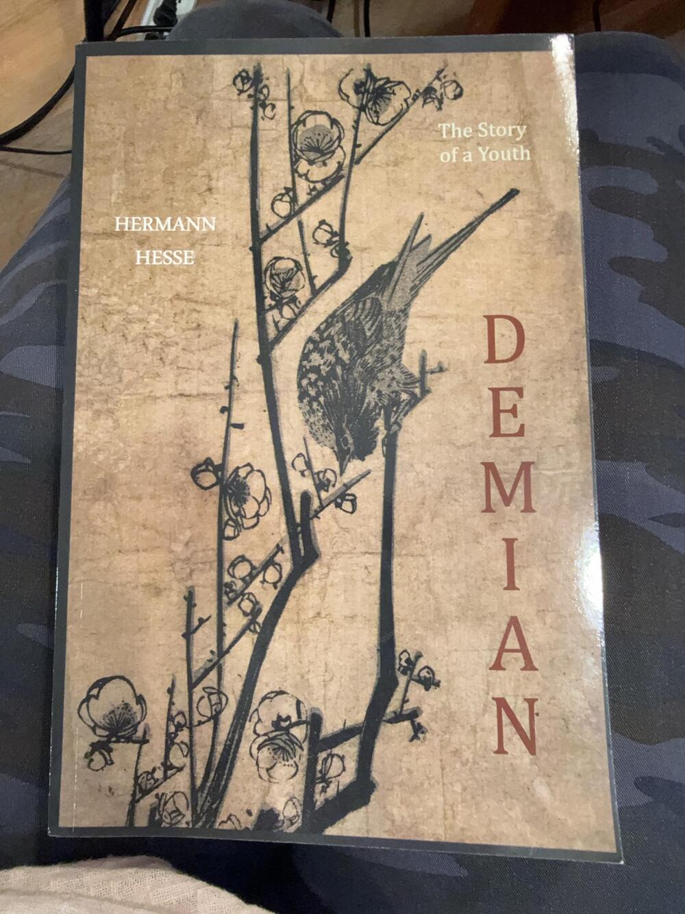 Demian The Story Of A Youth Hermann Hesse Aero PB Beige Coming Of Age Fiction